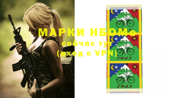 мет Алексин