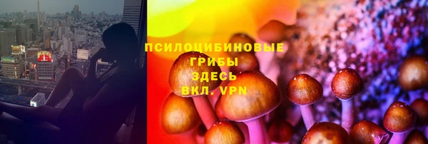 мет Алексин