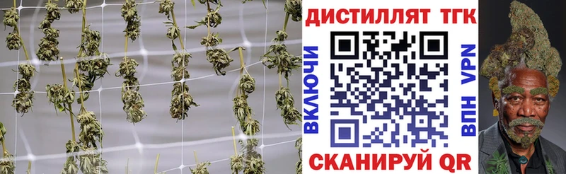 цены   ОМГ ОМГ маркетплейс  ТГК THC oil  Змеиногорск 